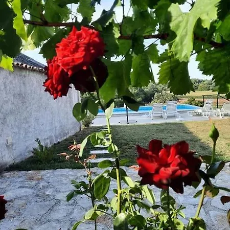 Kuca Za Odmor Casa Anna Villa Kringa
